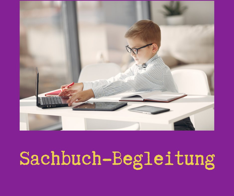 Ein Junge sitzt an einem Laptop_darunter steht Sachbuchbegletung